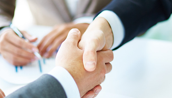 Our Businesses